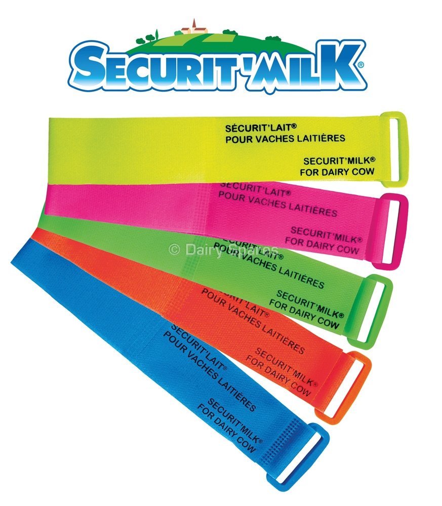 Leg Bands Securit'Milk